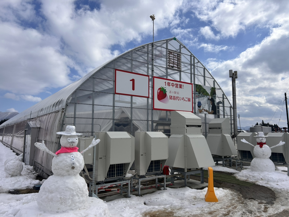 雪だるまのお出迎え