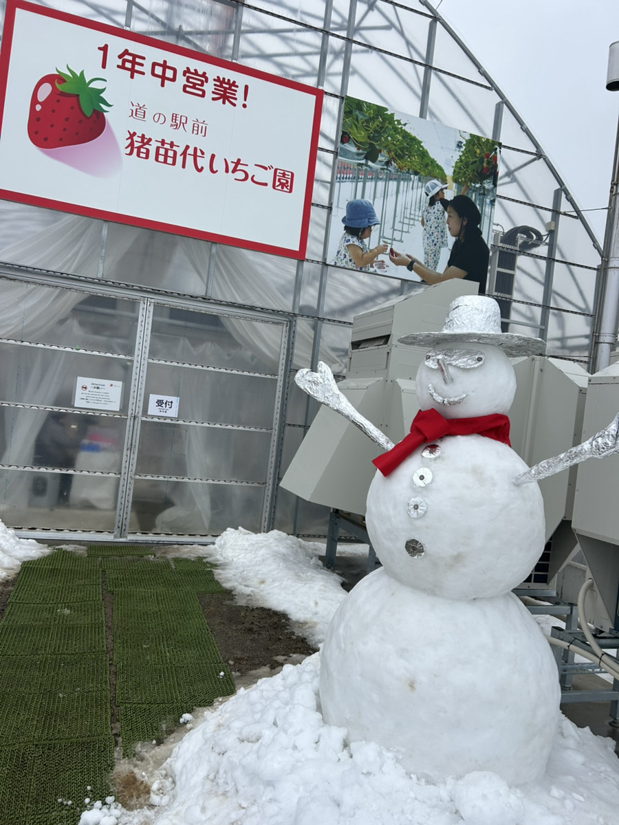 道の駅猪苗代いちご園のビニールハウスと雪だるま
