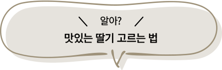 맛있는 딸기 고르는 법