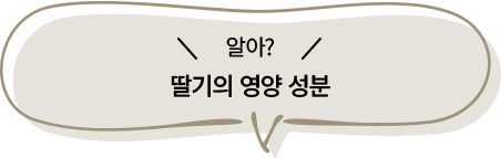 딸기의 영양 성분