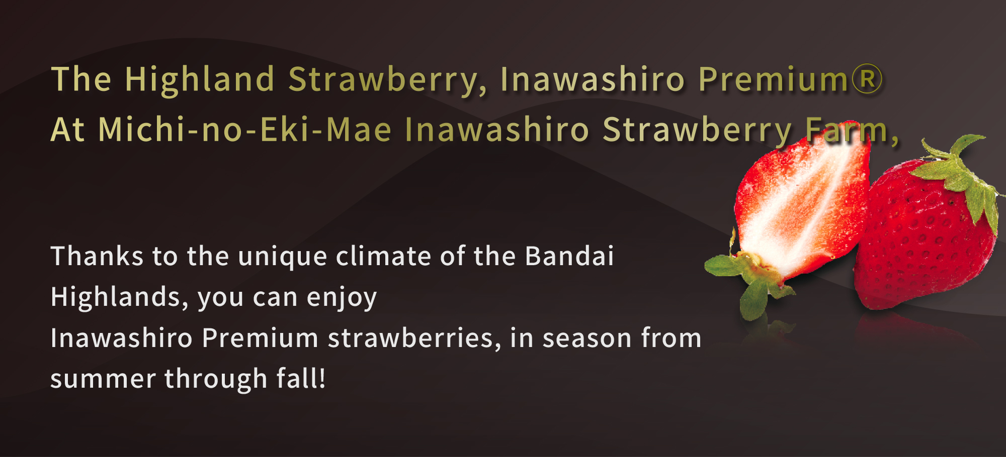 The Highland Strawberry, Inawashiro Premium® Michi-no-Eki-Mae, Inawshiro Strawberry Farm